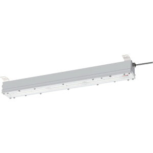 岩崎電気(EYE) 安全増防爆形LED照明器具2灯用特殊直付形 【品番:EYICL9041SA9F-22】