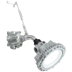 岩崎電気(EYE) 安全増防爆形LED照明器具 【品番:EYIL3031ASA9-22】