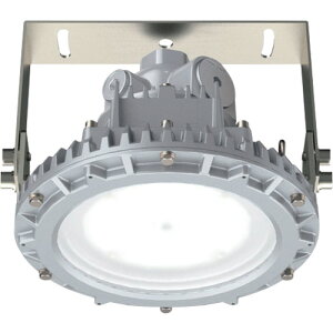 岩崎電気(EYE) 安全増防爆形LED照明器具角度可変形 【品番:EYIL7081SA9-22】