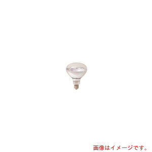 ���d�C�iEYE�j�@���M���t���N�^�[�d���i�A�C�����v�j110V90W�@�y�i�ԁFRF110V90WH�z