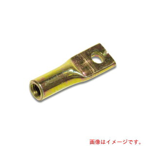 ��c���쏊�iiwata�j�@�X�N�����[�L���b�v�i10���j�@�y�i�ԁFMT03-P�z