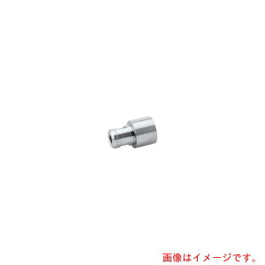 �y���[���֑Ή��z�P���q���[�W���p���iKARCHER�j�@�������@�p�A�N�Z�T���[�@�p���[�m�Y���@EASY�ILock�@0°060�i2�D113�|036�D0�j�@�y�i�ԁF2.113-036.0�z