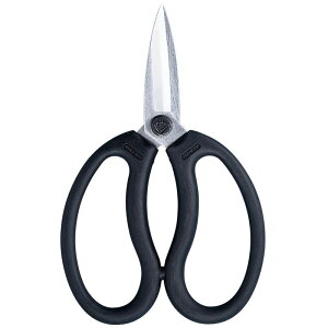 y[֑Ήz܏\nHƁ@PRUMAN vی^@yiԁFOK-185z