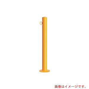 Jl\EiKANESOj@Ԏ~߁@X`[@ĕth@Œ莮@t^Cv@ی`x[Xv[g@EV[Y@yiԁFEC0785RE-AR(Y)z