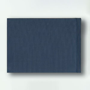 HƁ@K撠 B6 100@yiԁF020z