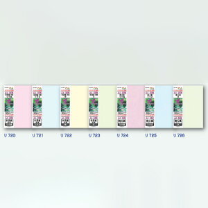 HƁ@OApauSAEvp A4p 򏑎 _@@yiԁF722z