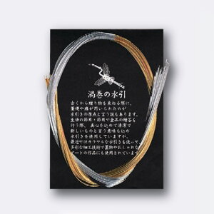 HƁ@␅ 40@yiԁFx510z