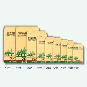 HƁ@ĐNtg p4 100@yiԁFV564z