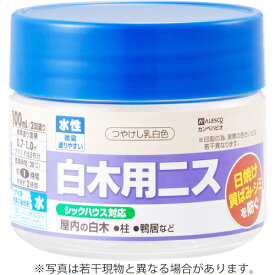 カンペハピオ（Kanpe Hapio）　水性白木用ニスA　つやけしとうめい　100ML　【品番：00737653732100】
