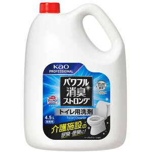 ԉ@Kao@ptLXgO@gCp܁@4D5L@Ɩp@yiԁF447180z