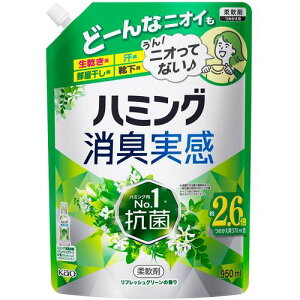 ԉ@Kao@_d܁@n~OL@tbVO[̍@߂p@950ML@yiԁF450258z