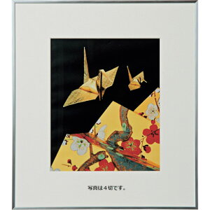 �P���R�[�E�g�L�i�[�@Kenko�@1250005�@�A���~�z���@��L�@4��SV�@AGR�|4�|SV�@�y�i�ԁFAGR-4-SV�z