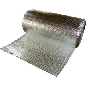 yʓrzenV[gHƁ@GA[fM8iʃA~\sRfMV[gj@yiԁFTS-AIR812010z