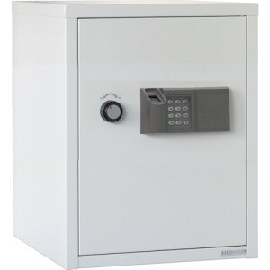 {ACEGXEPC@LO@wF؎}Cio[ΉZLeBۊǌɁ@yiԁFSB-60FPEz