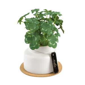 キシマ エクリア 消臭アーティフィシャルグリーン Mサイズ クローバー 【品番:KH-61251】