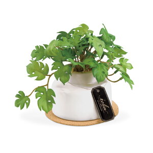 y݌Ɍ̔NʉizLV}@GNA LA[eBtBVO[ MTCY@~jXe@yiԁFKH-61253z