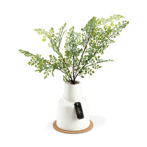 yBLACK FRIDAYʉizLV}@GNA LA[eBtBVO[ LTCY@AWA^@yiԁFKH-61255z