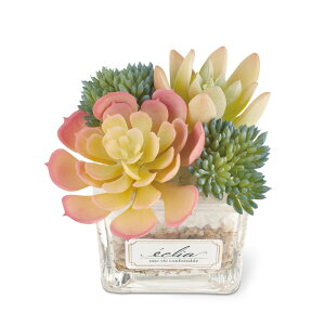 yBLACK FRIDAYʉizLV}@GNA LA[eBtBVO[ STCY@yiԁFKH-61180z