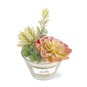 yBLACK FRIDAYʉizLV}@GNA LA[eBtBVO[ LTCY@yiԁFKH-61183z