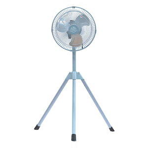 �L�d�iKODEN�j�@�A���~�H��25cm�O�r�^�H�Ɛ�@�y�i�ԁFCFF252TMAA�z