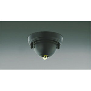 RCY~Ɩ@XΓVptW@yiԁFAE45313Ez