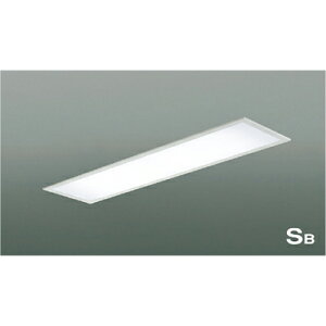 RCY~Ɩ@@yiԁFAD45411Lz