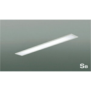 �R�C�Y�~�Ɩ��@�������@�y�i�ԁFAD45413L�z