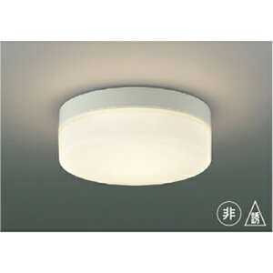 �R�C�Y�~�Ɩ��@���E�U�����@�y�i�ԁFAR49373L�z