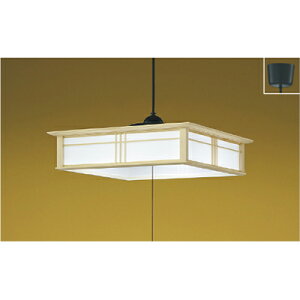 RCY~Ɩ@ay_g@yiԁFAP50310z