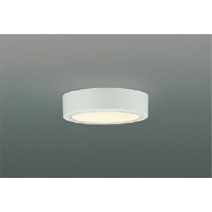 �R�C�Y�~�Ɩ��@���^�V�[�����O�@�y�i�ԁFAH50425�z