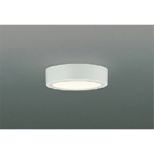 �R�C�Y�~�Ɩ��@���^�V�[�����O�@�y�i�ԁFAH50426�z