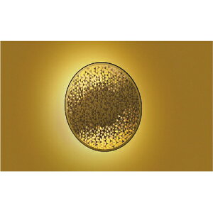 �R�C�Y�~�Ɩ��@�a���u���P�b�g�@�y�i�ԁFAB51123�z