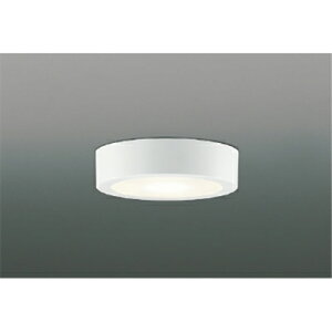 �R�C�Y�~�Ɩ��@���^�V�[�����O�@�y�i�ԁFAH52289�z