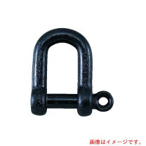楽天市場】コンドーテック シャックル 2．5tの通販