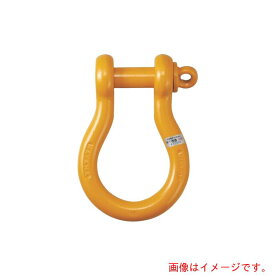 【別途送料あり】コンドーテック　軽量シャックル　RBE　25t　【品番：024RBEA025】