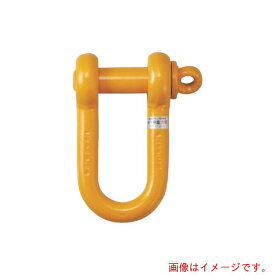 コンドーテック　軽量シャックル　RSE　25t　【品番：024RSEA025】