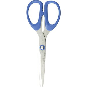 ���C�I��������iLION�j�@�n�T�~CS�|155H�@�y�i�ԁF87184�z