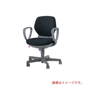 ���C�I��������iLION�j�@�`�F�A�[�@��2111F�@�u���b�N�@�y�i�ԁFNO.2111F-BK(68697)�z