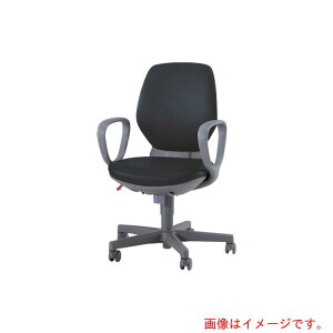 ���C�I��������iLION�j�@�A�G�o�`�F�A�[�@��2121S�@�u���b�N�@�y�i�ԁFNO.2121S-BK(68685)�z