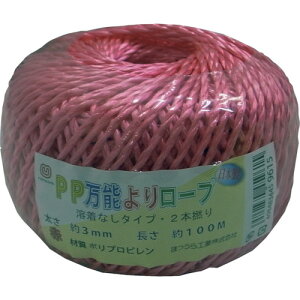 ܂HƁ@PP\胍[v@3mm×100m@ԁi2{AnȂj@yiԁFPP-ROPE-3-100REDz