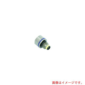 yʓrzR{d@쏊@}mX^[@v@WO81AWO71pANZT@R1^8A_v^@ሳ^Cv@yiԁFKGA81R1/8AD-Lz