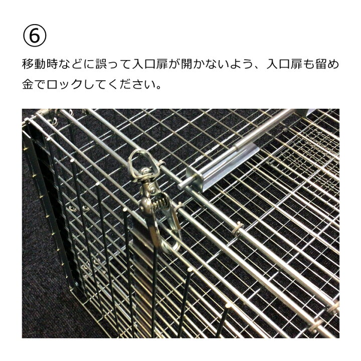 楽天市場】丸十金網 アニマルキャッチャー猫の保護器 【品番 