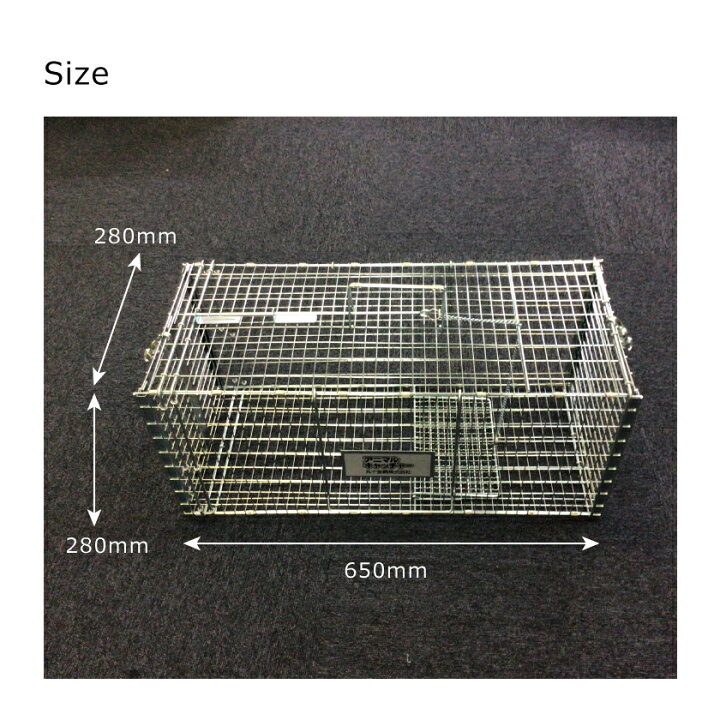 楽天市場】丸十金網 アニマルキャッチャー猫の保護器 【品番 