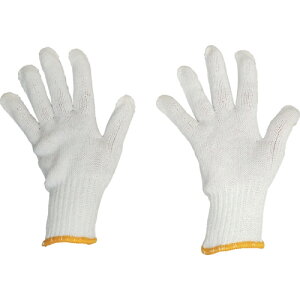 ۘaP~J@GUNTE@ƗpR@12og@yiԁF156z