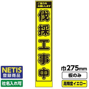 yʓrzH@GAINA@Netiso^i@HŔ@Xu̍Hv@vYPxˁ@uCG[΁@̂݁@yiԁF03G0103S040z