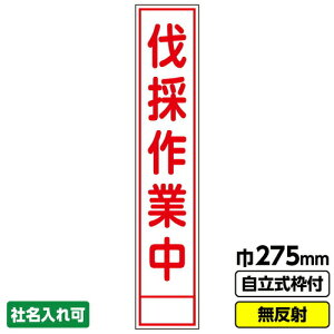 yʓrzH@GAINA@HŔ@Xu̍ƒv@275X1400@ˁ@19pgt@yiԁF03G1901S147z