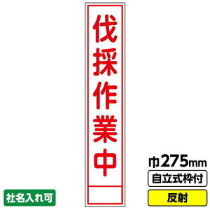 yʓrzH@GAINA@HŔ@Xu̍ƒv@275X1400@ˁ@19pgt@yiԁF03G1902S054z