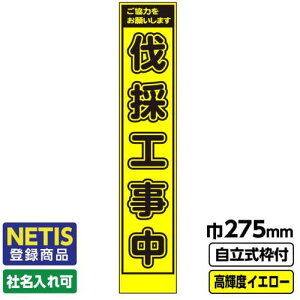 yʓrzH@GAINA@Netiso^i@HŔ@Xu̍Hv@vYPxˁ@uCG[΁@19pgt@yiԁF03G1903S040z