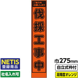 yʓrzH@GAINA@Netiso^i@HŔu̍Hv@@X@vYPxˁ@IW@gt@19p@yiԁF03-G19-06S040z