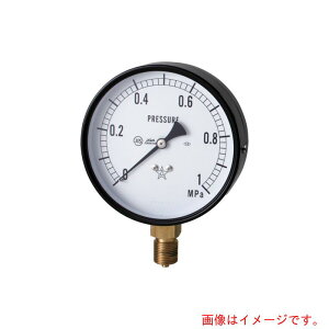 �E�����퐻���@�X�^�[�@�i���͌v�j�iA�g���^�E��75�j�@���̓����W0�D0�`2�D00MPa�@�y�i�ԁFS-31-2MP�z
